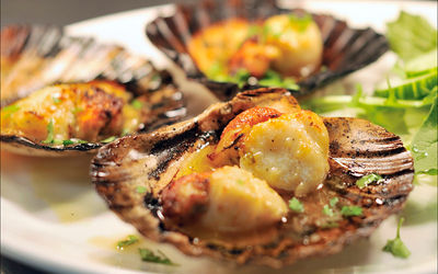 3 scallop shells with scallops, with a lettuce garnish on a white plate