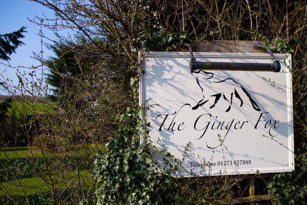 The Ginger Fox