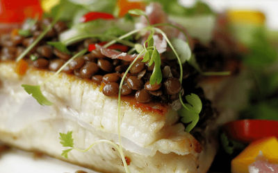 A close up photo of a piece of white fish topped wit puy lentils and garnished with microgreens.