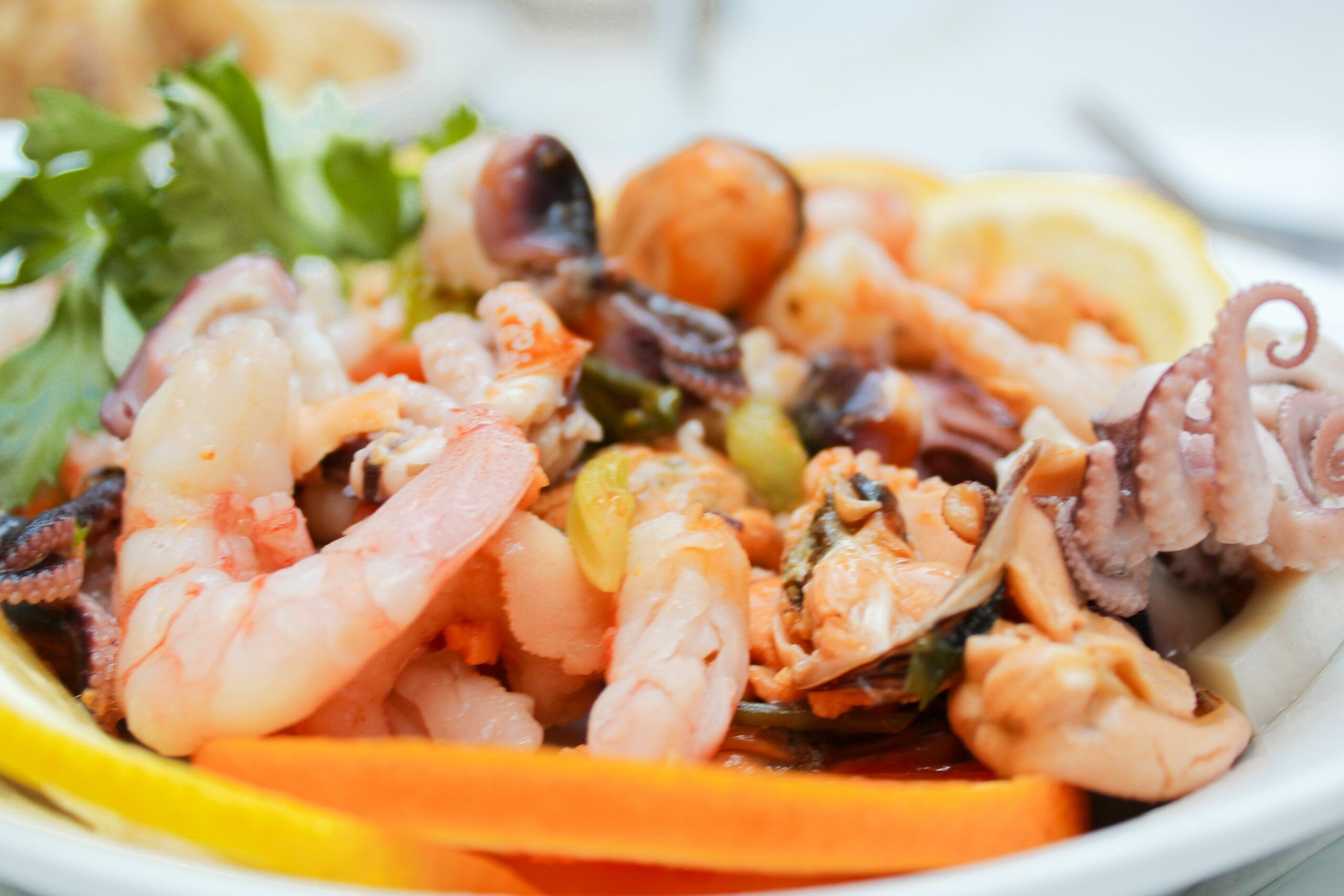 A close up of seafood salad with prawns, squid and muscles with citrus fruit and salad leaves