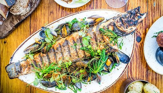Fish and seafood restaurants in Brighton, Sea bass at The Salt Room. Grilled fish with samphire and mussels presented on a white plate on a wooden table. Fish restaurant Brighton. Seafood restaurant Brighton