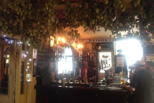 The Prince Albert Brighton | North Laine Pub | Music Venue