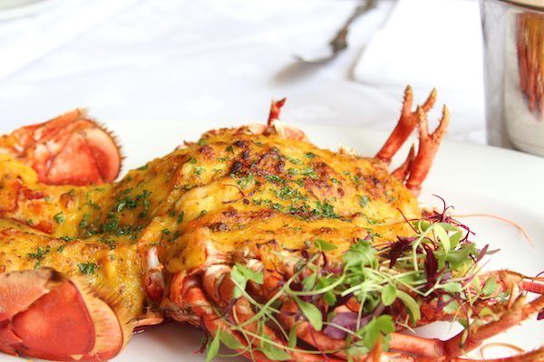 English's is 70, fish restaurant, Brighton, seafood restaurant - Best Restaurants in Brighton