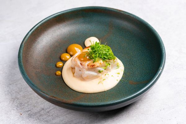 seafood dish with cream in the dark green plate