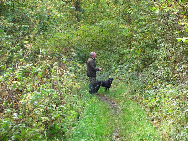 Andy Foraging