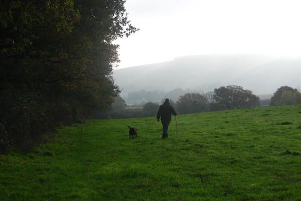 Foraging in Sussex