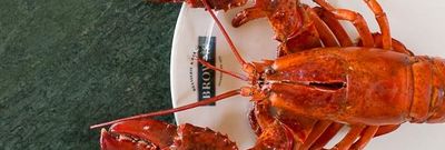 Brighton red lobster on a white plate at Browns Brighton. Lobster Brighton Guide