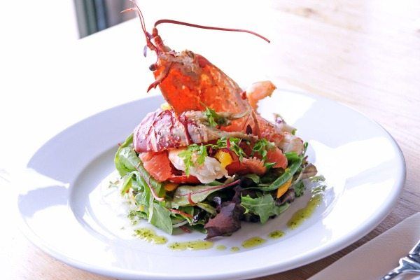 Lobster salad at Riddle and Finns Brighton