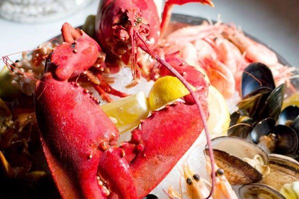 Lobster on ice at Riddle and Finns Brighton