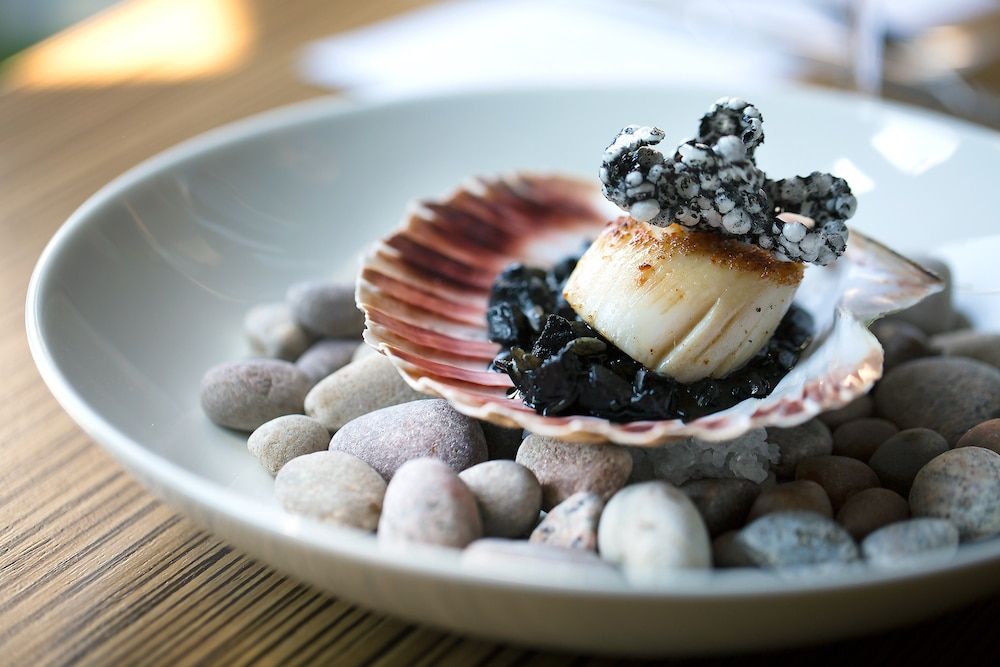 Seafood restaurant Brighton Guide. A scallop nestled in its shell at etch restaurant in Hove.