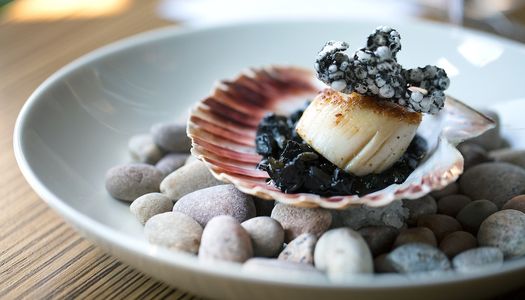 Seafood restaurant Brighton Guide. A scallop nestled in its shell at etch restaurant in Hove.