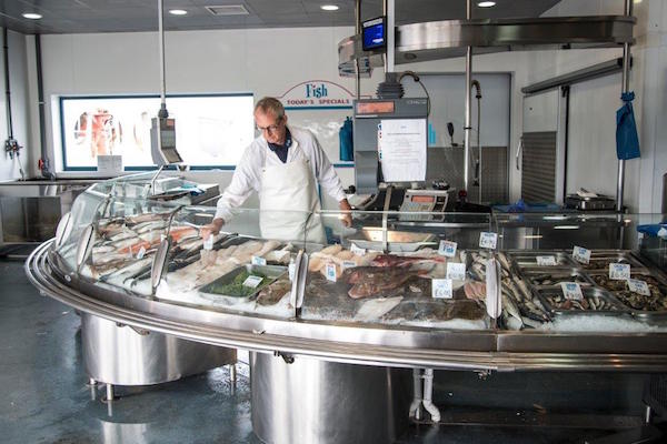 Fish counter - Brighton & Newhaven Fish Sales, Brighton, Shoreham Harbour