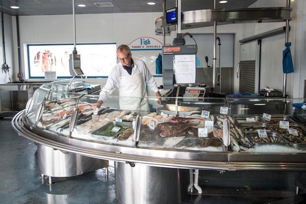 Fish counter at Shoreham Harbour