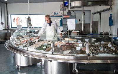 Fish counter - Brighton & Newhaven Fish Sales, Brighton, Shoreham Harbour