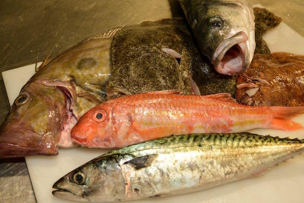 Fish - Brighton & Newhaven Fish Sales, Brighton, Shoreham Harbour