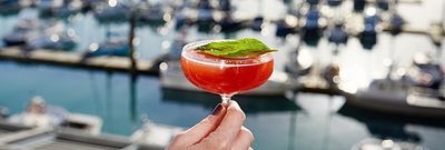 A bright cocktail with a herb garnish being held up with a sunny Marina view in the background.