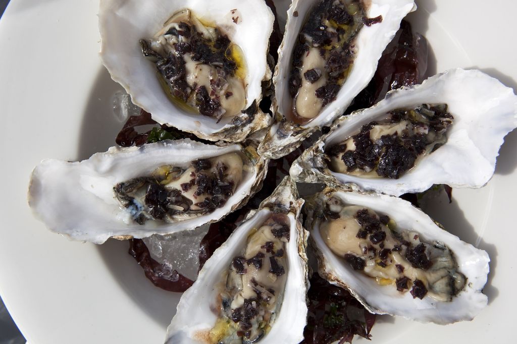 Oysters at Murmur Restaurant Brighton