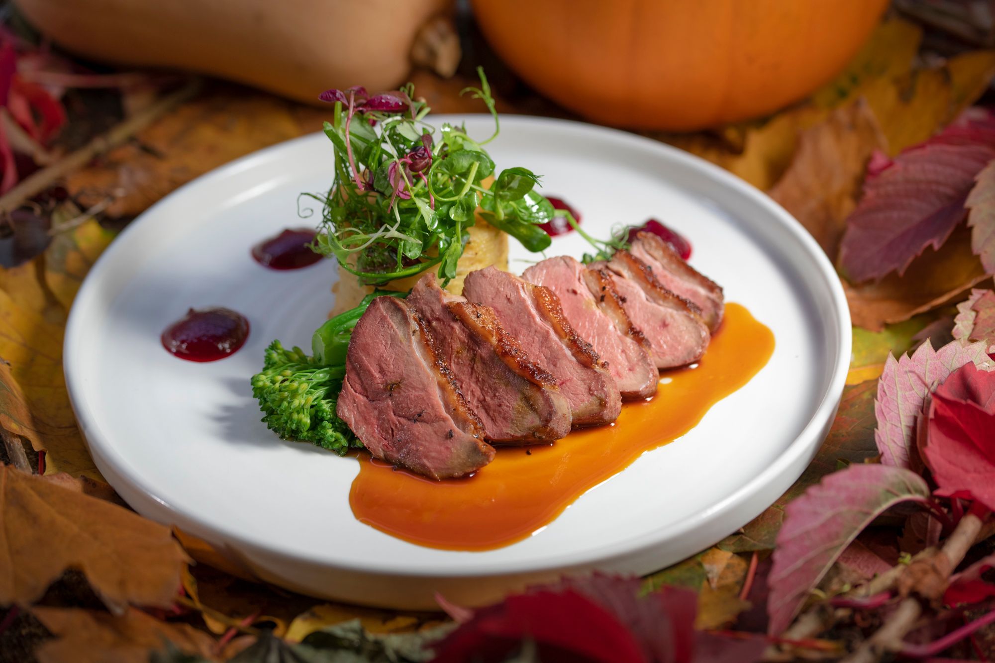 DUCK BREAST, CELERIAC DAUPHINOISE, BROCCOLI STEMS, BEETROOT PURÉE, BLOOD ORANGE SAUCE