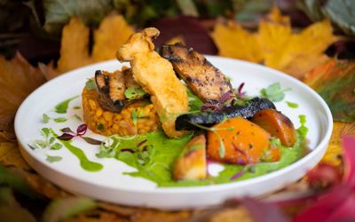 lentil turine with squash and mushrooms