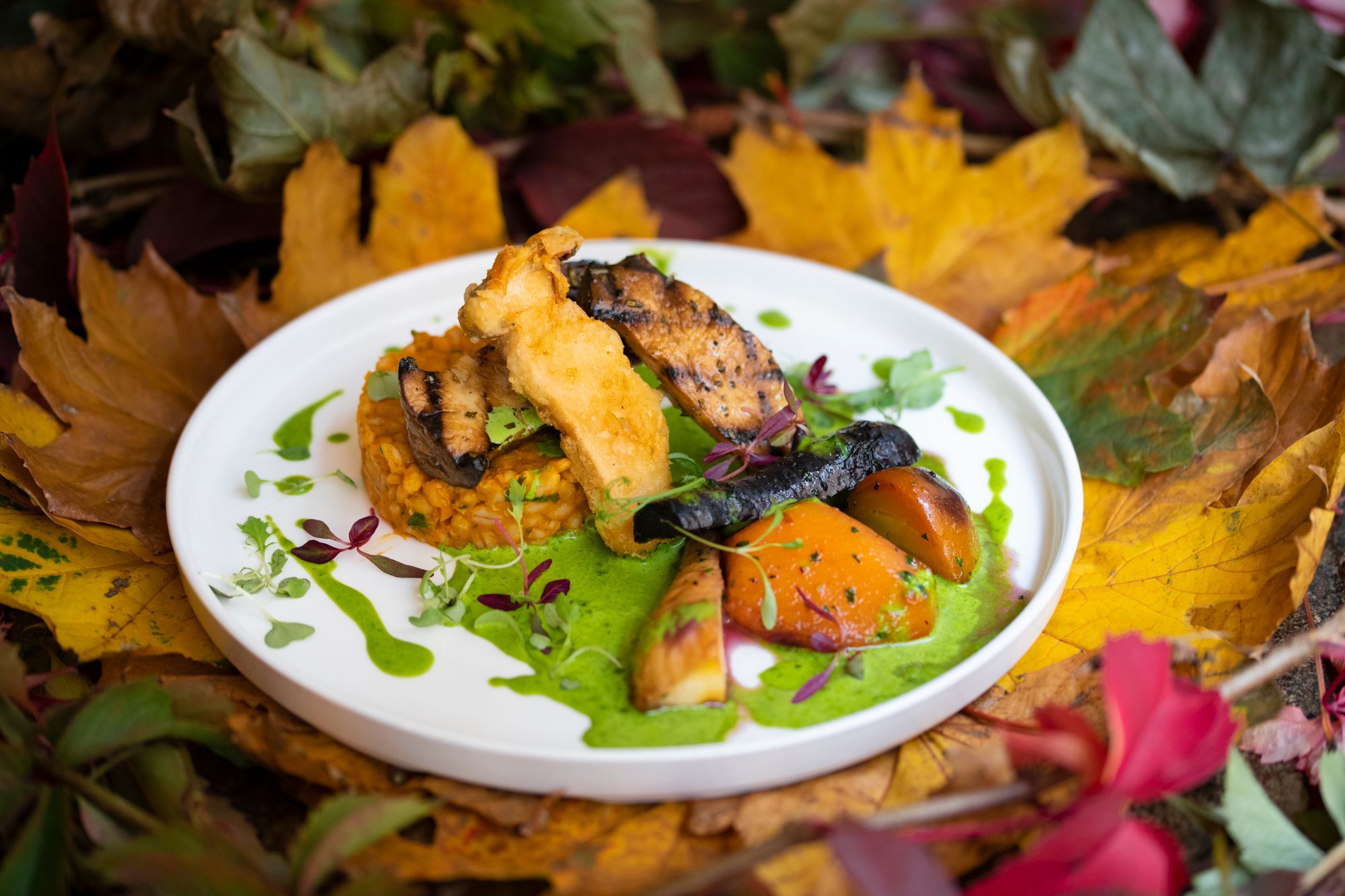 vegetarian dish at Petit Pois brighton. Pictured mushrooms on a white plate, pictured on a bed of autumn leaves