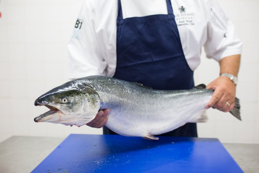Scottish Salmon ready to be filleted - Brighton Food Photographer, Food Photography 