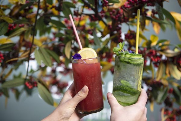 Colourful fresh botanical drinks with straws being held up against autumnal foliage.