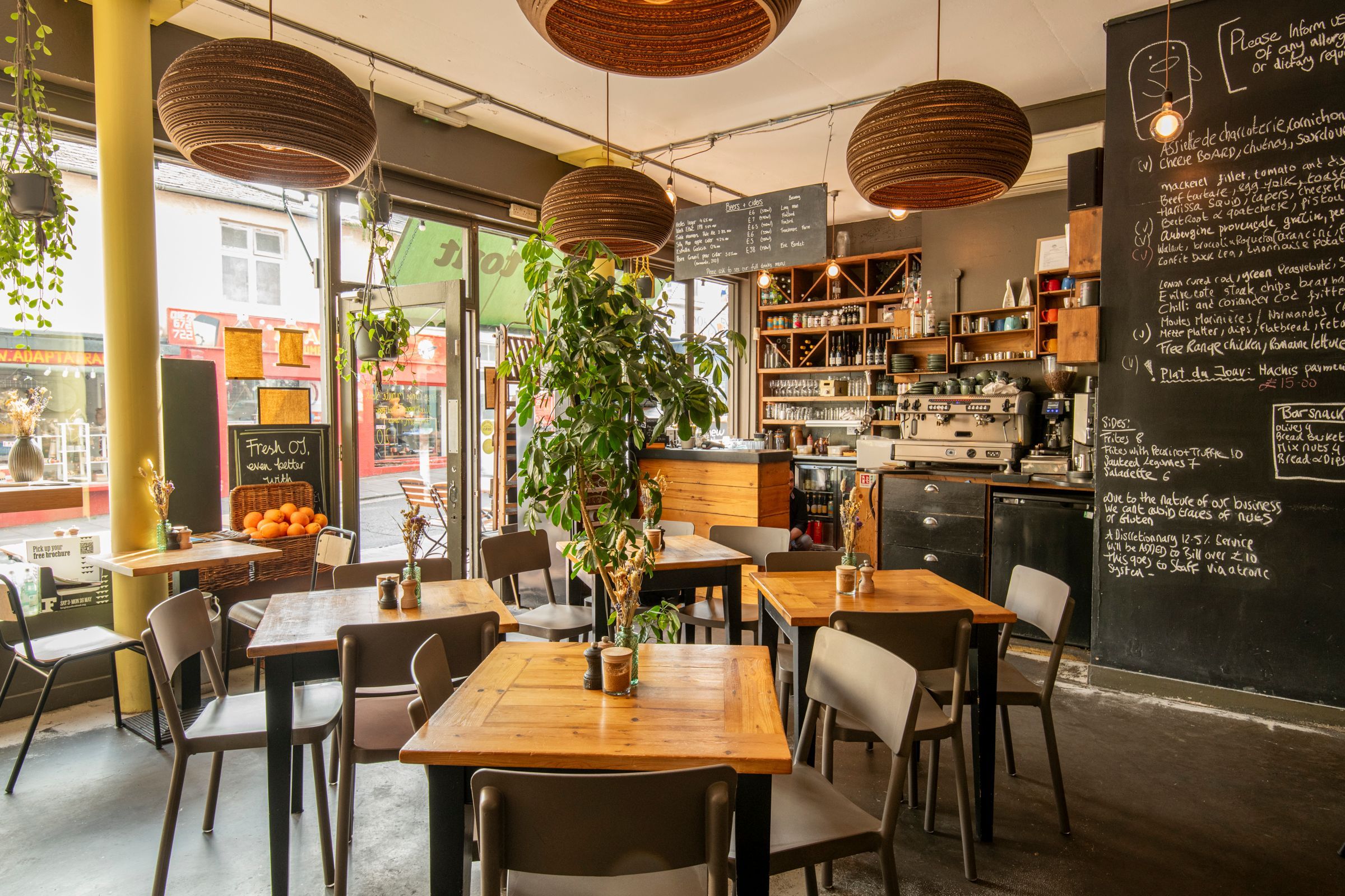 Cozy, sunlit café interior with wooden tables, modern chairs, chalkboard menus, and hanging plants, offering a relaxed, welcoming atmosphere.