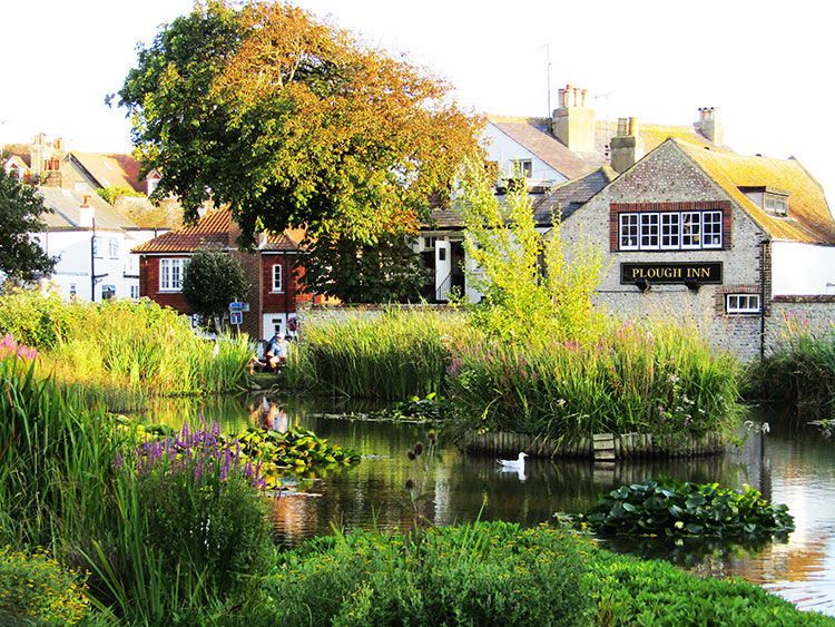 Picturesque pond and trees at The Plough Inn
