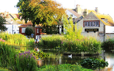 Picturesque pond and trees at The Plough Inn - 11X bus Brighton