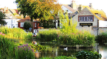 Picturesque pond and trees at The Plough Inn - 11X bus Brighton