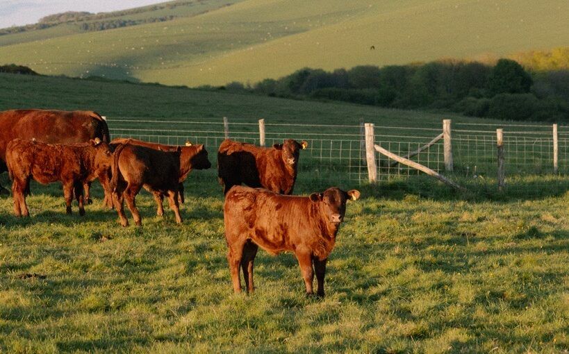 sussex countyside