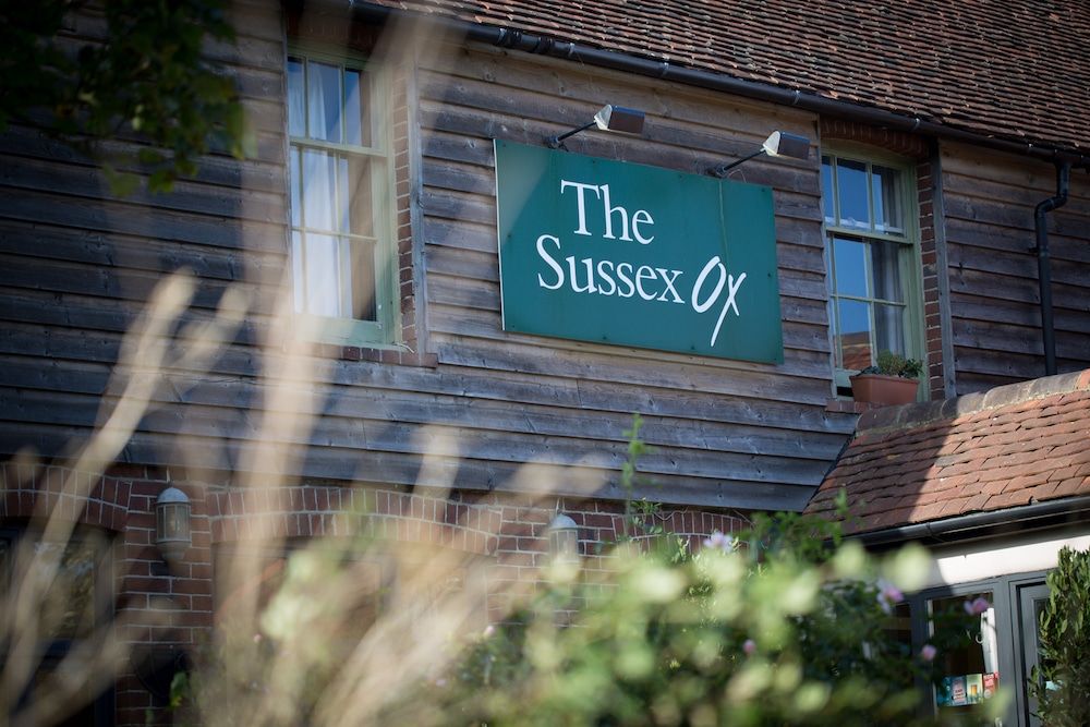 The Sussex Ox