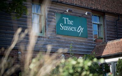 The Sussex Ox, Pubs in Sussex with amazing Sussex beer garden