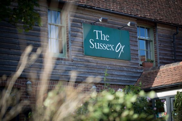 The Sussex Ox, Pubs in Sussex with amazing Sussex beer garden