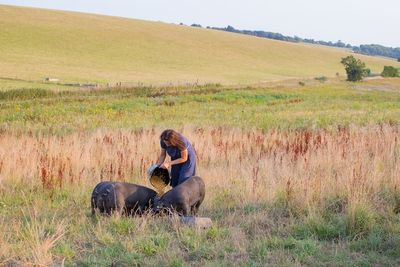 Sussex Ox Pub Organic Farm
