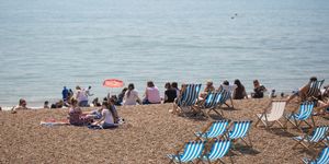 Brighton Beach - whats on Brighton