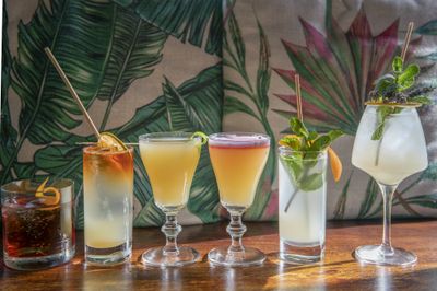 A lineup of cocktails