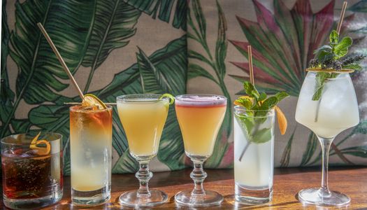 A lineup of cocktails