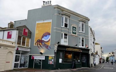 The Sidewinder Brighton