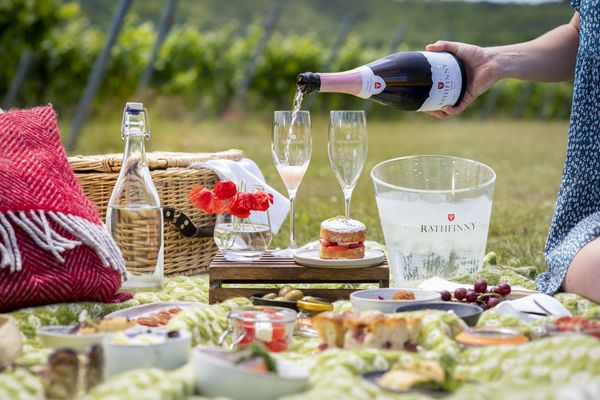 Rathfinny wine estate picnic. Leisurely lunch ideas in Brighton and Sussex 