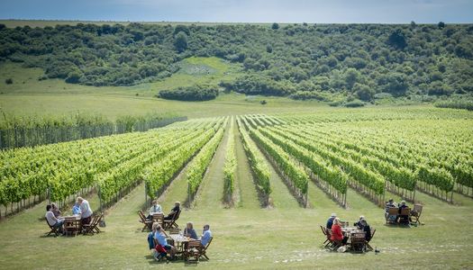 A view of a vineyard on a sunny day with people having a picnic on tables