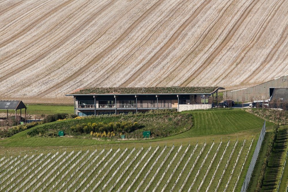 Rathfinny - The Tasting Room