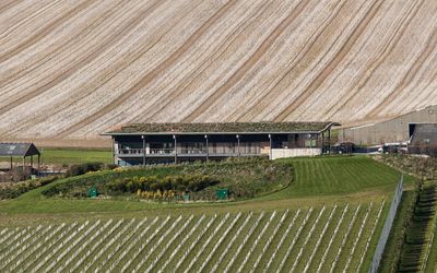 Rathfinny - The Tasting Room