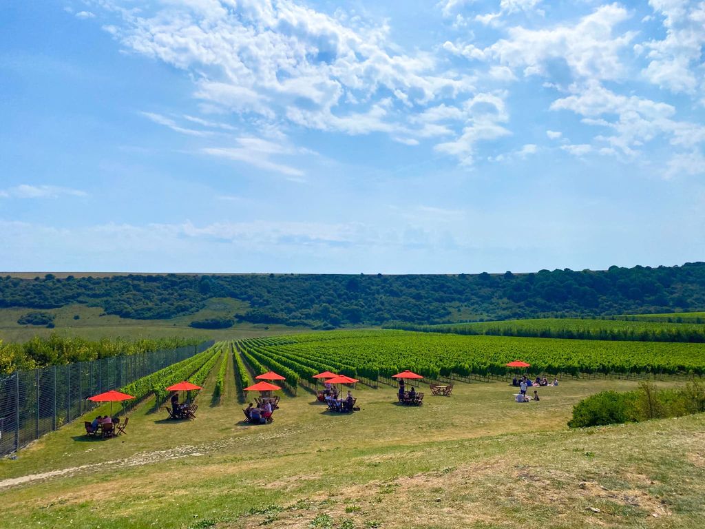 A view of Rathfinny vineyard with tables and chairs