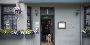 Exterior shot of the grey painted pub with hanging baskets and a dog in the doorway.