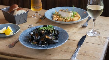 A bowl of moules marinière and a fish dish both served on a wooden table with a glass of wine and beer.