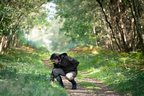 Ben crouching on the forest pathway and picking up herbs