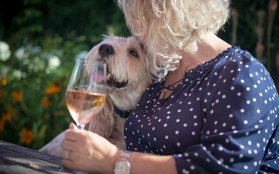 Marge the dog and publican, Chris, with a glass of wine in the garden at The New Inn garden.