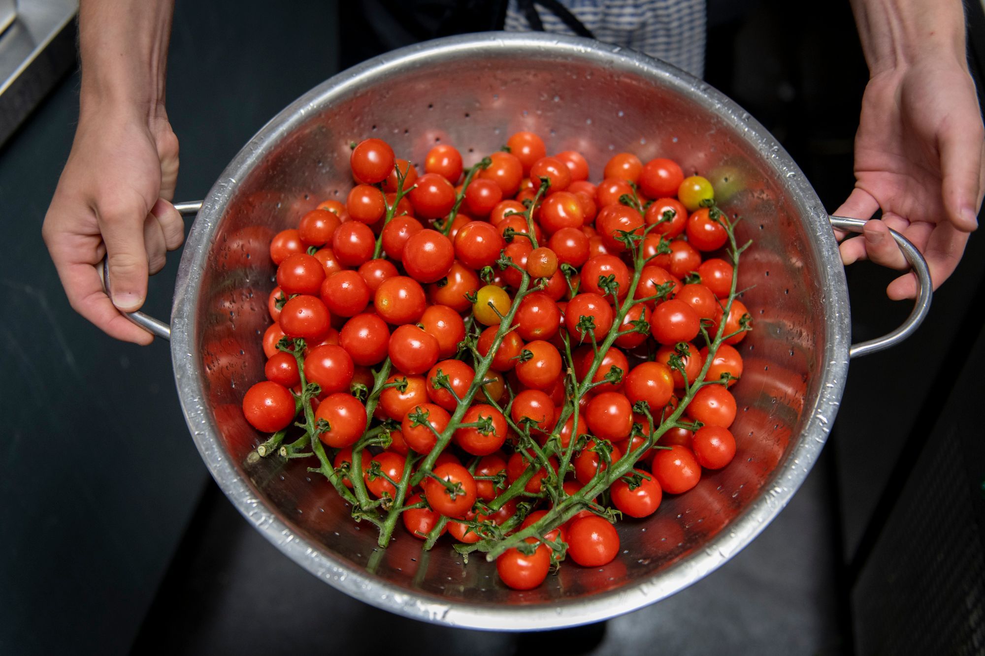 bowl full of cherry tomatoes