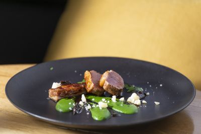Small medallions of pork arranged on a plate with a green puree on a dark grey plate with a yellow background